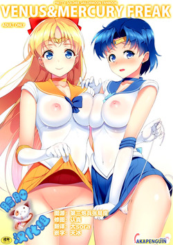 (C88) [Akapenguin (Asahina Hikage)] VENUS&MERCURY FREAK (Bishoujo Senshi Sailor Moon) [Chinese] [脸肿汉化组]